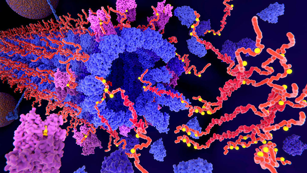 Imagen: La fosforilación (amarilla) de las proteínas tau (rojo-naranja) por quinasas (violeta) conduce a la formación de biomarcadores de enfermedad de Alzheimer que también están asociados con delirio posoperatorio (Fotografía cortesía 123rf.com)