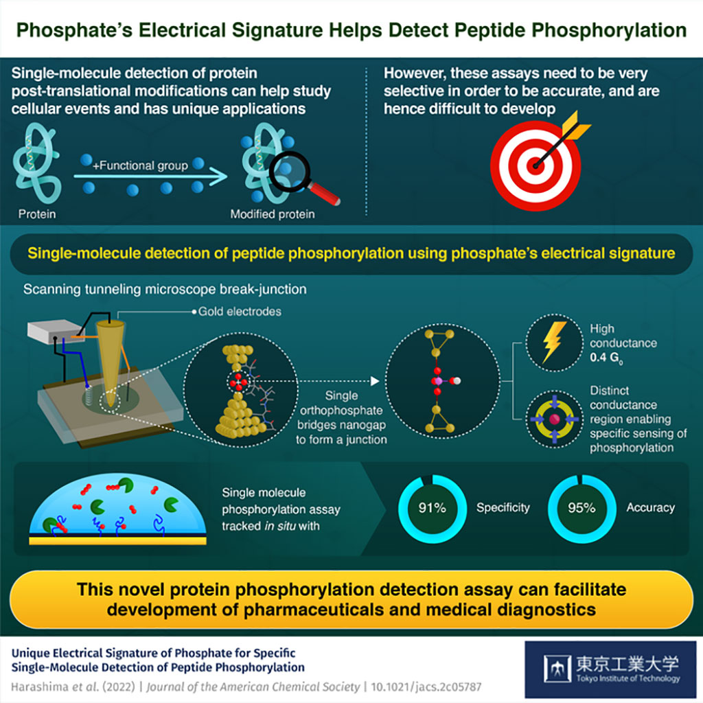 Imagen: La firma eléctrica del fosfato ayuda a detectar la fosforilación de péptidos (Fotografía cortesía del Instituto de Tecnología de Tokio)