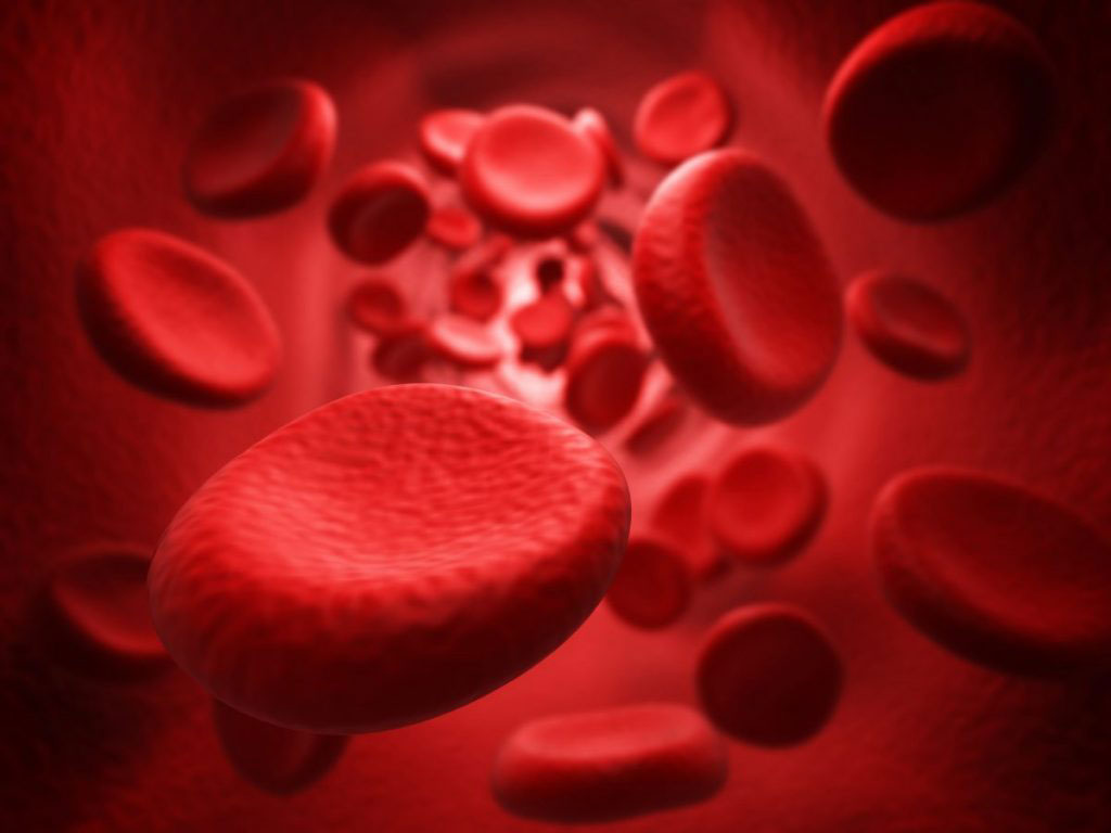 Imagen: El canal iónico mecanosensorial Piezo1 es la molécula portadora de antígenos de glóbulos rojos Er, estableciendo un nuevo sistema de grupos sanguíneos (Fotografía cortesía de la Universidad de Bristol)
