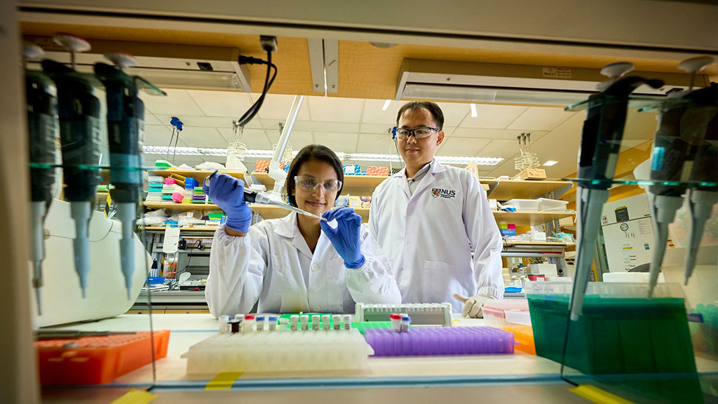 Imagen: El ensayo Heatrich-BS también puede ayudar a los científicos a estudiar diferentes subtipos de cáncer por un bajo costo (Fotografía cortesía de NUS)