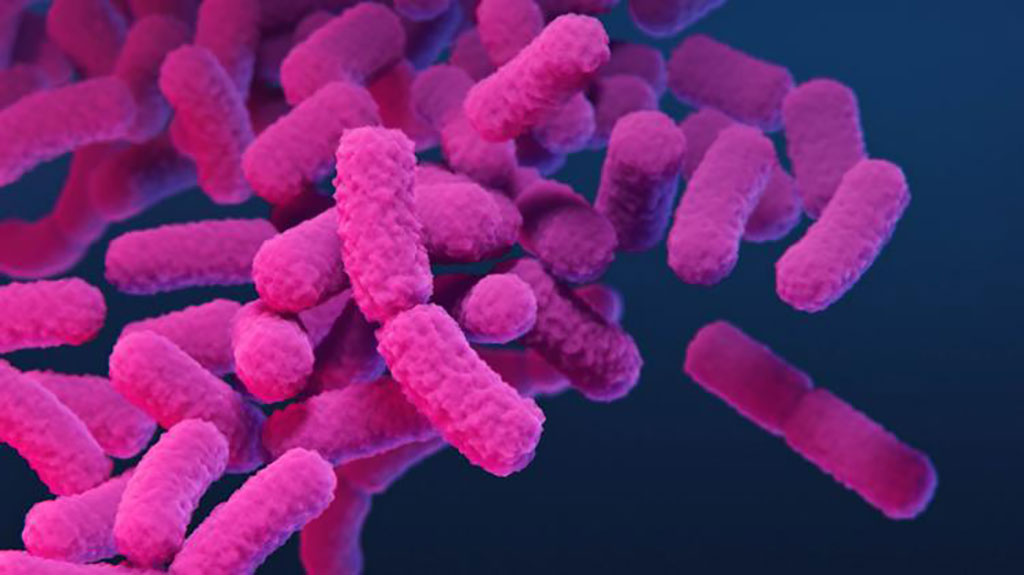 Imagen: Ilustración médica de enterobacterias resistentes a los carbapenémicos (Fotografía cortesía de CDC, Stephanie Rossow)