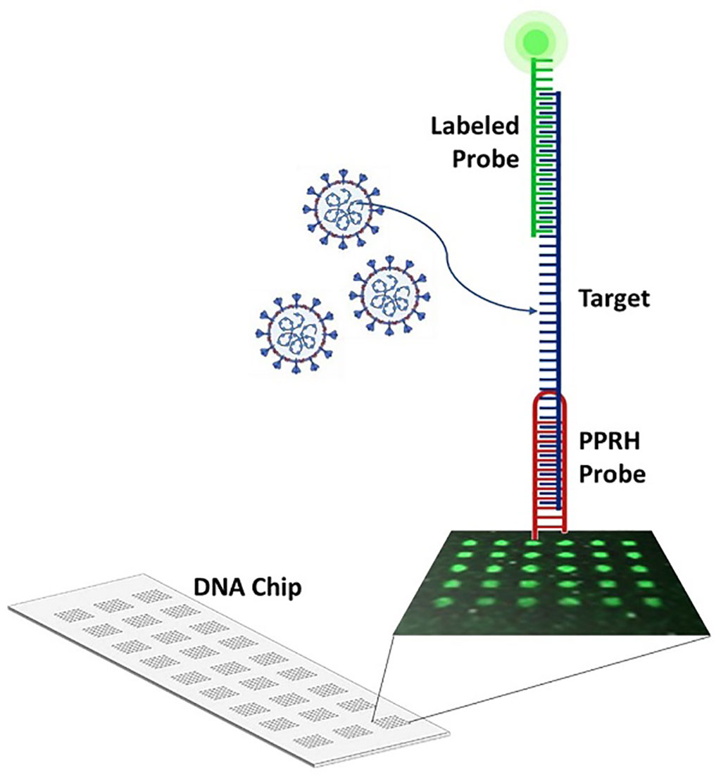 Imagen: Nuevo método detecta virus de ARN basados ​​en la tecnología de sonda formadora de triplex (Fotografía cortesía de la Universidad de Barcelona)