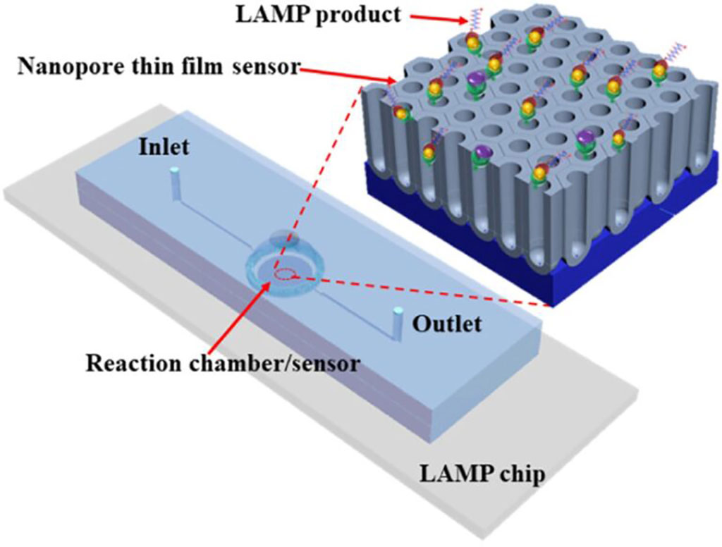 Imagen: Cámara de reacción LAMP y sensor de película de nanoporo que contiene productos LAMP inmovilizados (Fotografía cortesía de Texas A&M AgriLife)