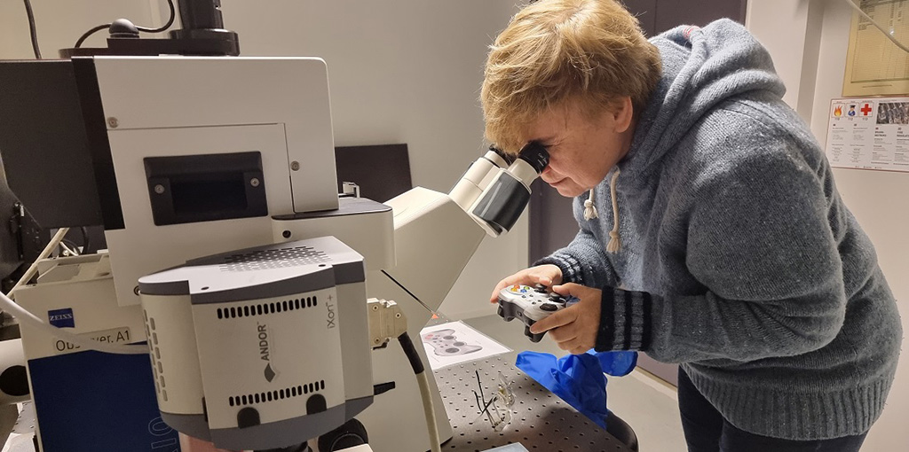 Imagen: El nuevo método identifica bacterias de forma más fácil, económica y precisa que antes (Fotografía cortesía de NTNU)