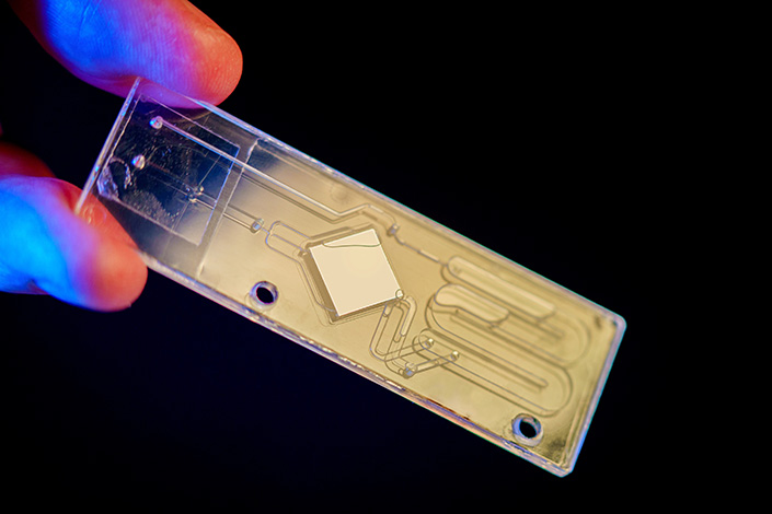 Imagen: Los investigadores usaron este chip para analizar los microbios presentes en muestras de sangre completa (Fotografía cortesía de UC San Diego)