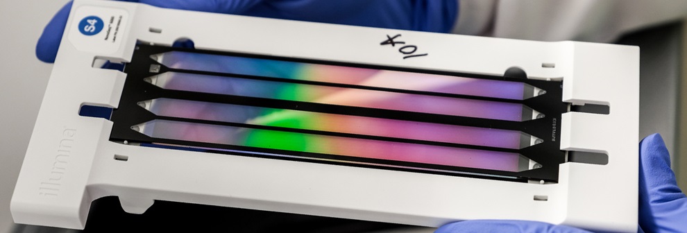 Imagen: Una prueba genómica única promete diagnósticos acelerados para enfermedades genéticas raras (foto cortesía del Instituto Wellcome Sanger)