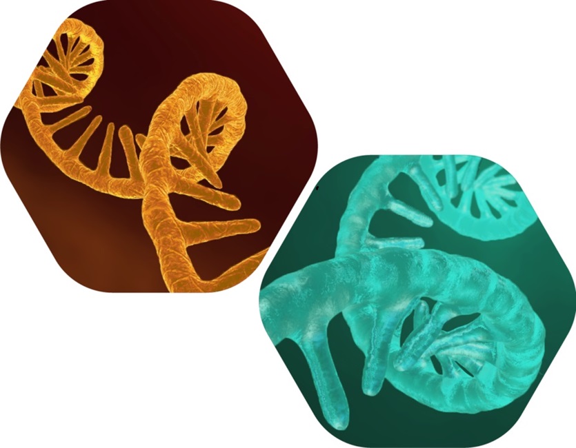 Imagen: ColoSense es la primera prueba de detección molecular basada en ARN aprobada por la FDA para la detección cualitativa del cáncer colorrectal (foto cortesía de Geneoscopy, Inc.)