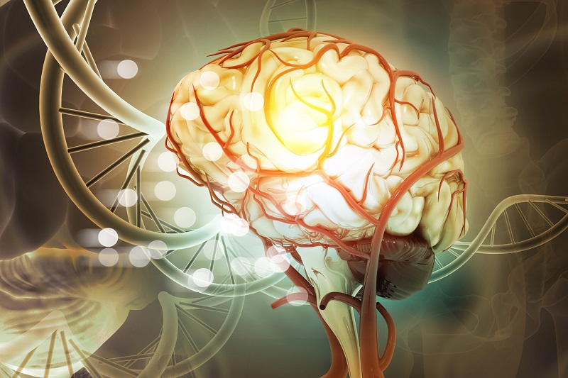 Imagen: La nueva herramienta de IA puede ayudar a vencer los tumores cerebrales (foto cortesía de Crystal Light/Shutterstock)