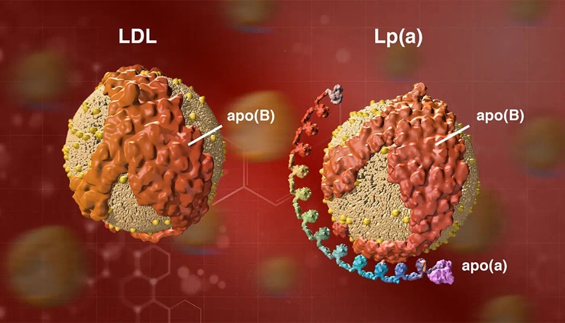 Imagen: El ensayo Tina-quant LP (a) RxDx  ha recibido la designación de dispositivo innovador de la FDA (Foto cortesía de Amgen)