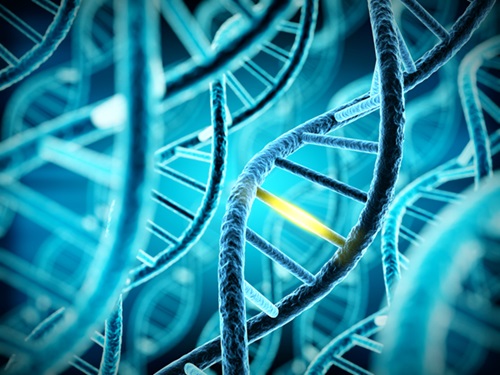 Imagen: La técnica HiDEF-seq podría revelar las causas de las mutaciones (foto cortesía de Shutterstock)