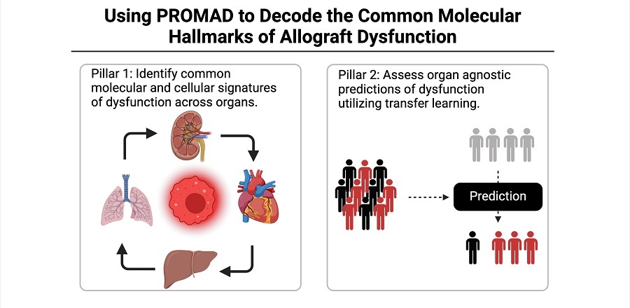 Imagen: PROMAD es un atlas molecular que consta de más de 12,000 muestras de pacientes de todo el mundo (foto cortesía de WIMR)