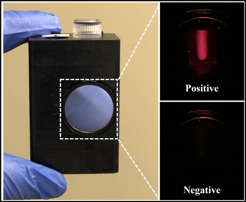 Imagen: El procesador portátil LIAMT cuenta con una ventana en la que el usuario puede ver señales de detección de virus fluorescentes (foto cortesía de Ziyue Li)