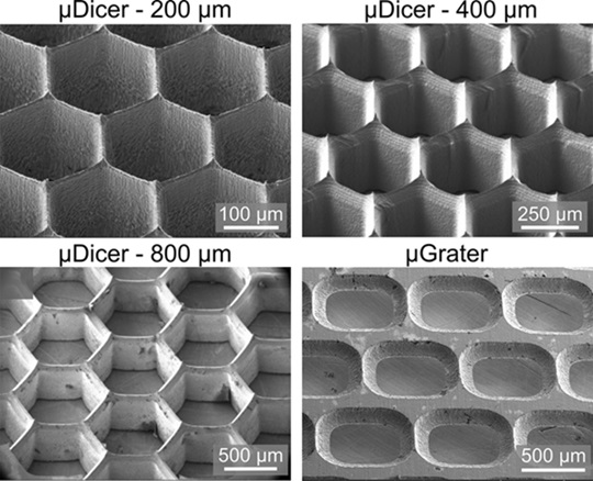 Imagen: Imágenes de microscopía de barrido del microDicer y microGrate (foto cortesía de Seth Cordts y Saisneha Koppaka)