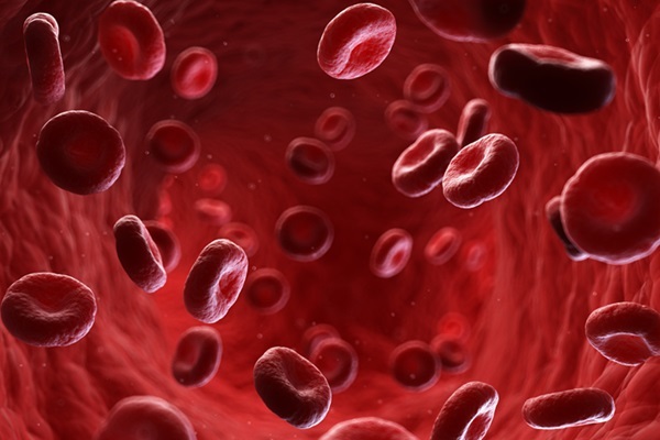 Imagen: El descubrimiento de un nuevo grupo de sangre ha resuelto un misterio de 50 años (foto cortesía de 123RF)