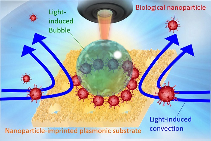 Imagen: Uso de un inmunoensayo inducido por la luz para detectar virus (foto cortesía de la Universidad Metropolitana de Osaka)