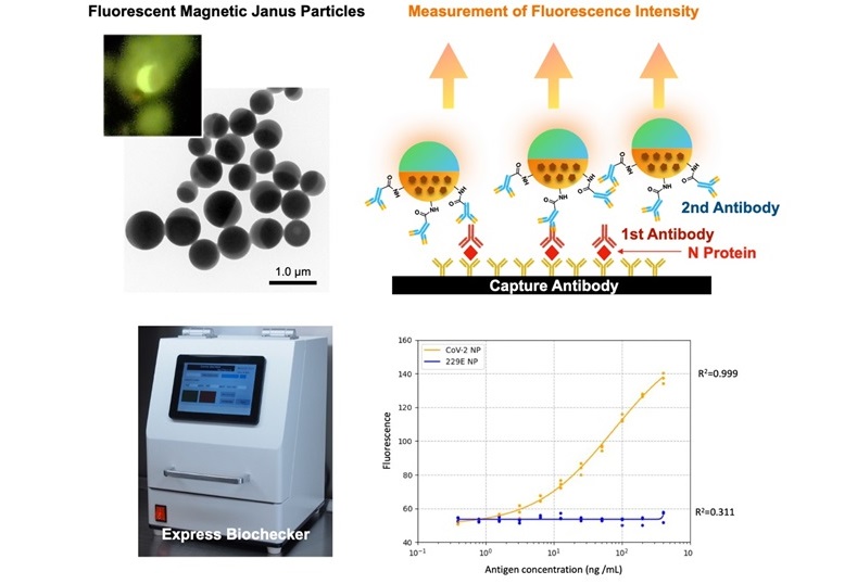 Imagen: El Express Biochecker y los resultados de la medición de las concentraciones de proteína N para el nuevo coronavirus(foto cortesía de Hiroshi Yabu)