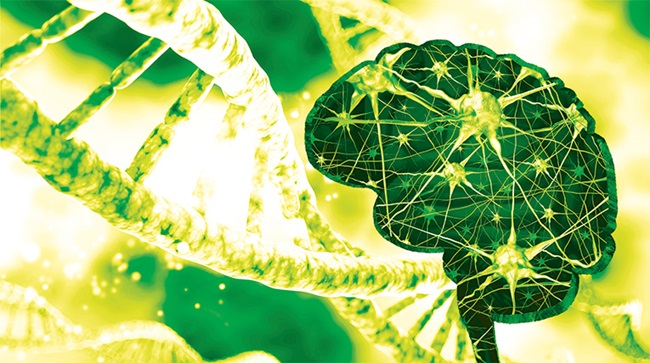 Imagen: El ensayo de diagnóstico in vitro EuroRealTime TM APOE  se ha lanzado en países europeos que aceptan la marca CE (Foto cortesía de EUROIMMUN)