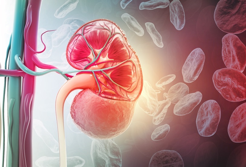 Imagen: Esta alianza tiene como objetivo mejorar significativamente las capacidades de diagnóstico para la LRA (Foto cortesía de 123RF)