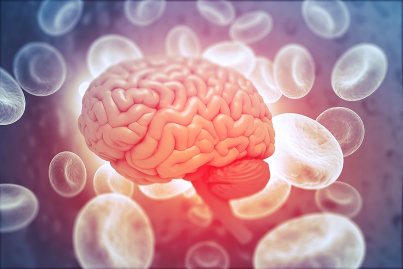 Imagen: los científicos han validado una nueva plataforma de prueba de laboratorio para biomarcadores sanguíneos de la enfermedad de Alzheimer (Foto cortesía de 123RF)