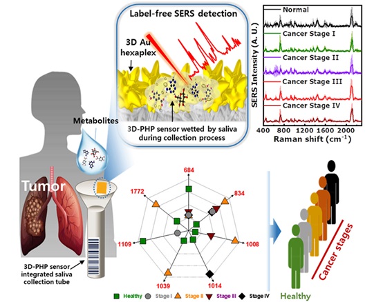 Imagen: Ilustración esquemática del sensor 3D-PHP integrado con el tubo de recolección de saliva para aplicaciones en el diagnóstico de detección de saliva humana y cáncer de pulmón (foto cortesía de KIMS)