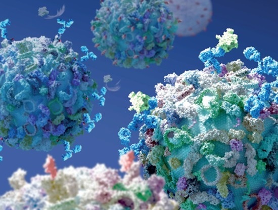 Imagen: la modulación de la molécula pequeña de la corona de proteína mejora significativamente el perfil de proteoma plasmático profundo (Foto cortesía de Mahmoudi Group)