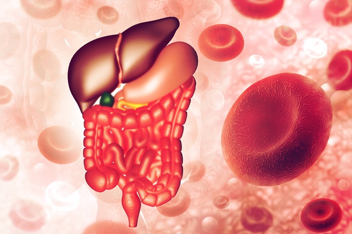 Imagen: los patrones de proteínas específicos en la sangre pueden predecir la EII hasta 16 años antes del inicio (Foto cortesía de 123RF)