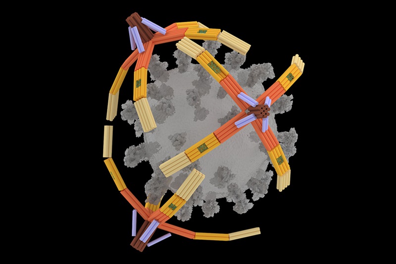 Imagen: En la representación del artista, tres manos NanoGripper envuelven un virus de COVID-19 (Foto cortesía de Xing Wang/U. of I.) 