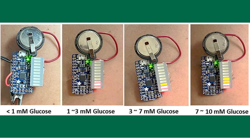 Imagen: El nuevo sistema biosensor basado en papel utiliza esporas bacterianas que germinan en respuesta a la glucosa en fluidos corporales ricos en potasio, como el sudor (Foto cortesía de la Universidad de Binghamton)