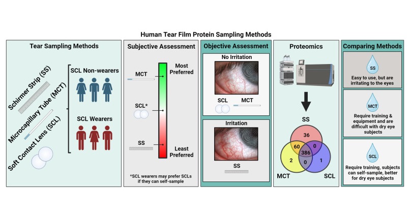 Imagen: métodos de muestreo de proteínas de película de lágrimas humanas (Foto cortesía de Clinical Proteomics. 2024, 13 de marzo; 21: 23. doi: 10.1186/s12014-024-09475-8)