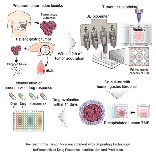 Imagen: tratamiento personalizado contra el cáncer utilizando tecnología de bioimpresión 3D (foto cortesía de POSTECH)