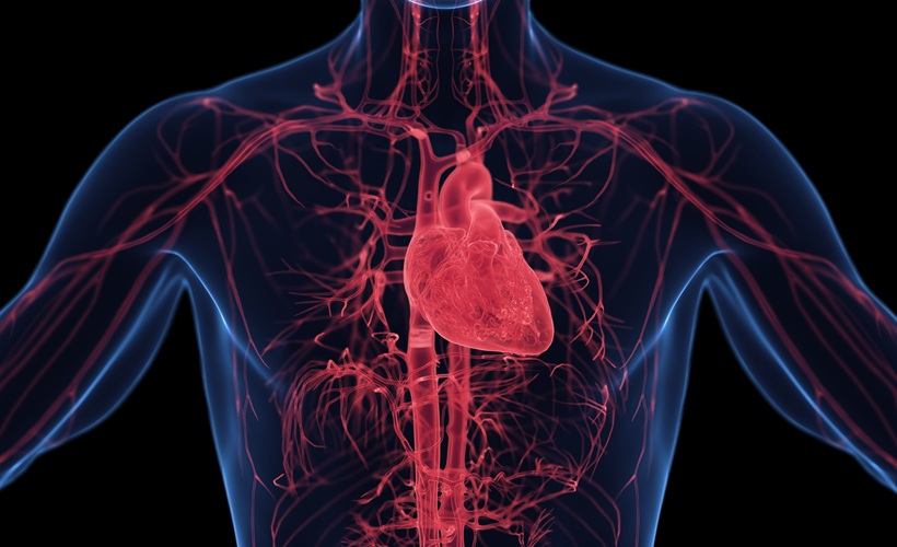 Imagen: el poder predictivo de ciertos marcadores cardíacos en sangre también puede abarcar el riesgo de cáncer (foto cortesía de Adobe Stock)