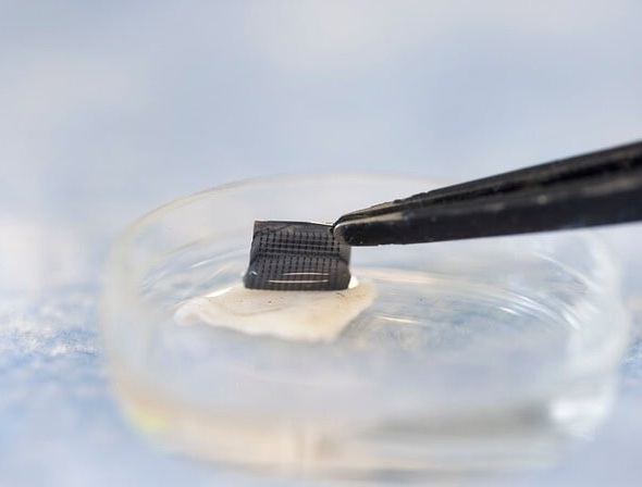 Imagen: el ExoPatch recién diseñado distinguió con éxito el melanoma de la piel sana en ratones (foto cortesía de Jeremy Little/Ingeniería de Michigan)