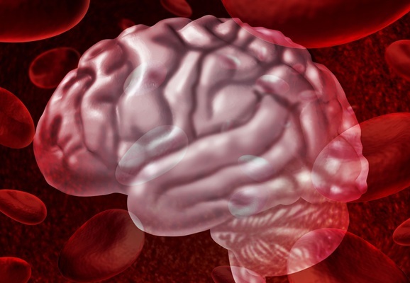 Imagen: biomarcadores para la resistencia a la insulina cerebral se han descubierto en la sangre (foto cortesía de Adobe Stock)
