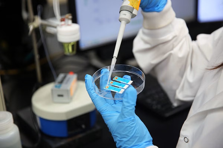 Imagen: la prueba combinará un suero con una muestra líquida y lo aplicará al biosensor para cuantificar el virus a nivel de ARN (fotografía cortesía de la Facultad de Medicina de la UCF)