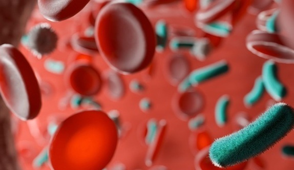 Imagen: la prueba rápida de sepsis detectó casi tres veces más infecciones del torrente sanguíneo que los hemocultivos convencionales (fotografía cortesía de Adobe Stock)