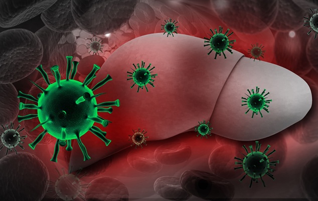 Imagen: el virus de la hepatitis B sigue siendo una causa importante de morbilidad y mortalidad en todo el mundo (fotografía cortesía de Adobe Stock)