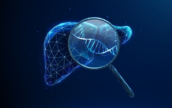 Imagen: el análisis de sangre del ADN tumoral circulante podría proporcionar una advertencia más temprana sobre la recurrencia posterior al trasplante (fotografía cortesía de Shutterstock)