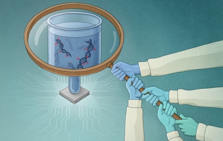 Imagen: el análisis de ADNtc impulsado por IA proporciona a los médicos una nueva lente para monitorear la evolución de la enfermedad (fotografía cortesía de Brandon Stelter, Katie Han, Kyle Smith y Paul Northcott)