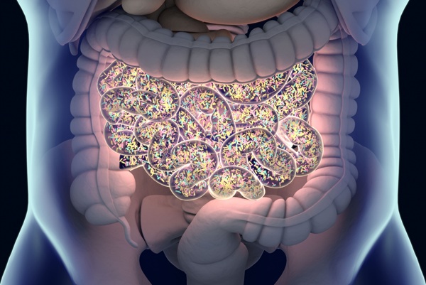 Imagen: los hallazgos sugieren que las interacciones entre las bacterias intestinales y los virus que albergan pueden contribuir al desarrollo del cáncer colorrectal (fotografía cortesía de Adobe Stock)