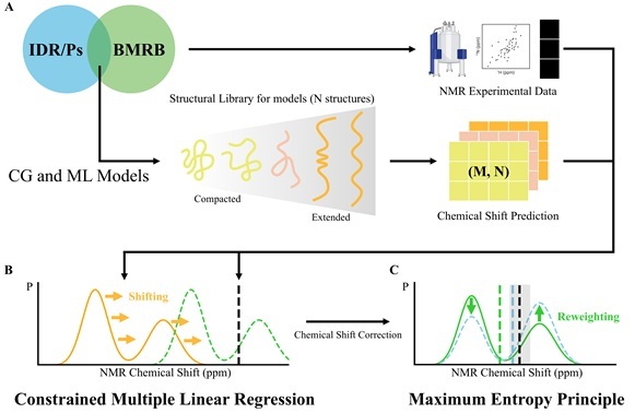 Imagen: Proceso central que combina simulación de IA con datos reales de RMN (PNAS, 2026. doi.org/10.1073/pnas.2518125123).