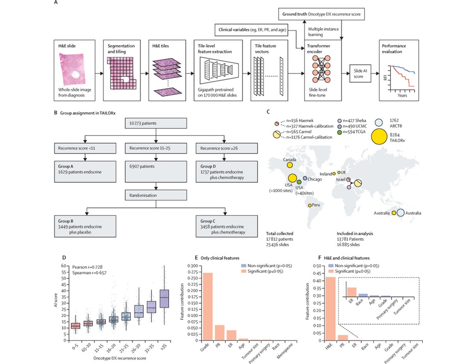Imagen: Cohortes de estudio, arquitectura del sistema de aprendizaje profundo y evaluación del desempeño en TAILORx-Test (Shamai G, Cohen S, Binenbaum Y et al., Lancet Oncology, 2026; . DOI: 10.1016/s1470-2045(25)00727-2)