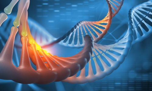 Imagen: la integración de la medicina clínica y la genómica avanzada respalda un cambio hacia una atención más precisa y personalizada (fotografía cortesía de Shutterstock)