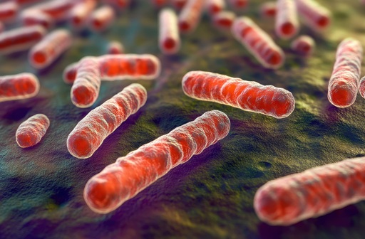 Imagen: la prueba ultrasensible detectó ADN de M. tuberculosis en pacientes que es poco probable que sean diagnosticados con los métodos actuales (fotografía cortesía de Adobe Stock)
