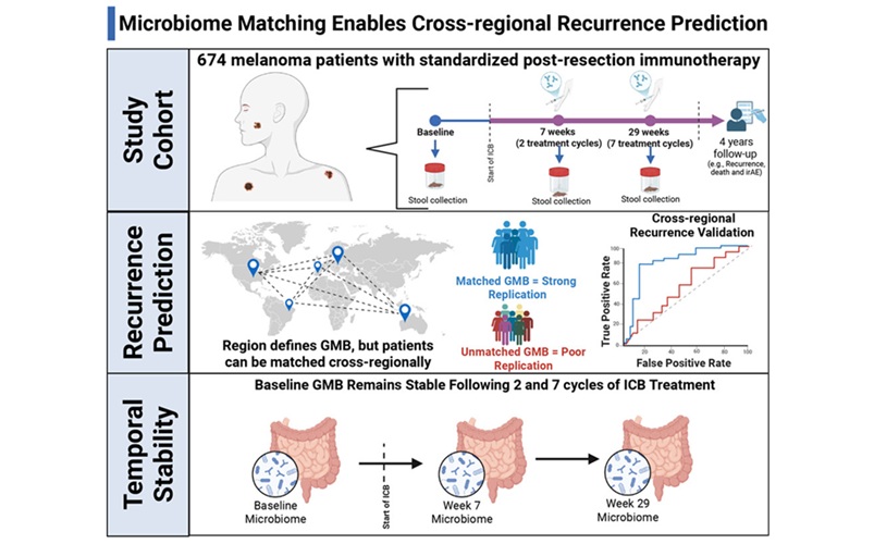 Imagen: Resumen gráfico  (Usyk M., Hayes R., Knight R. et al., Cell (2026). DOI: 10.1016/j.cell.2026.03.041)
