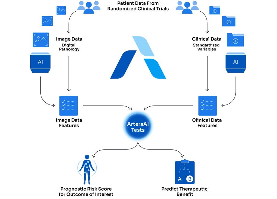 Imagen: La plataforma de IA multimodal de Artera analiza patología digital y datos clínicos para respaldar el manejo personalizado del cáncer (fotografía cortesía de Artera)
