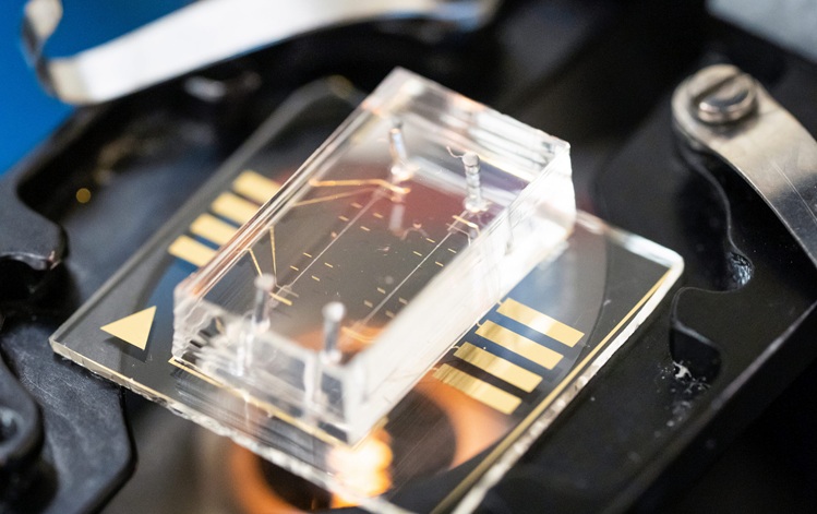 Imagen: La plataforma MechanoAge, que se muestra aquí en un escenario de microscopio, podría usarse para detectar el riesgo de cáncer de mama. (Foto cortesía de Adam Lau/Berkeley Engineering)