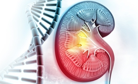 Imagen: los investigadores obtuvieron una firma genética y un análisis de sangre para ayudar a identificar este subgrupo de alto riesgo (crédito de la foto: Shutterstock)