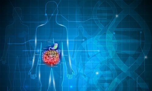 Imagen: Utilizando un método que identifica el origen de los fragmentos de ADN, los investigadores encontraron que los niveles de neutrófilos reflejaban estrechamente la gravedad de la inflamación intestinal en pacientes pediátricos y adultos (crédito de la foto: Shutterstock)