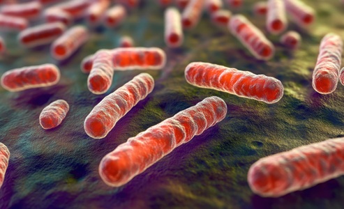 Imagen: A diferencia de las pruebas estándar que detectan bacterias directamente, los ensayos de respuesta del huésped miden la respuesta inmune del cuerpo, lo que potencialmente permite la detección temprana de infecciones y la identificación de riesgos (crédito de la imagen: Adobe Stock)