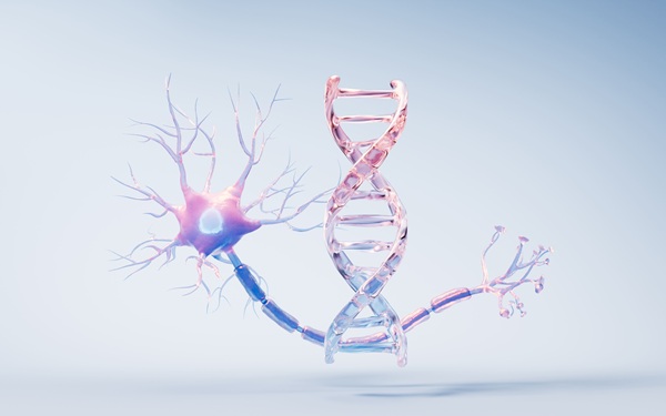 Imagen: Una nueva herramienta computacional puede identificar con precisión los cambios genéticos RFC1 relacionados con ciertas formas de neuropatía periférica (fotografía cortesía de Adobe Stock)